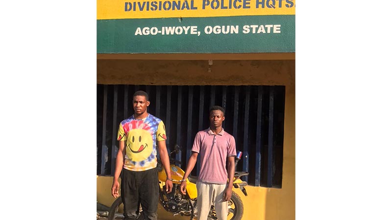 Ogun Police Arrest Two Cultists  Forcefully  Initiating New Member