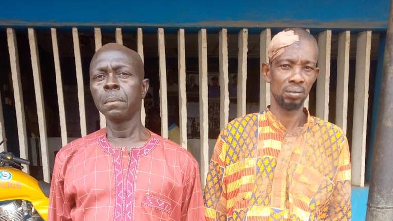 Ogun Police Arrest Two Men Over Land Grabbing