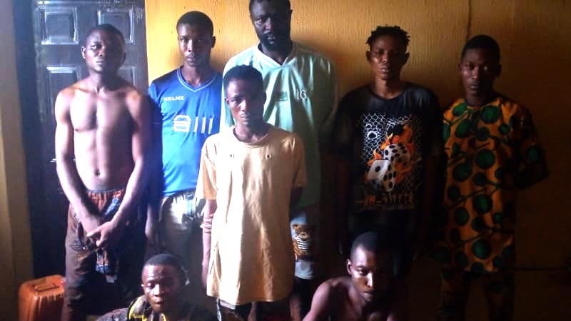 Ogun Police Raid Cultists Hideout, Arrest Eight