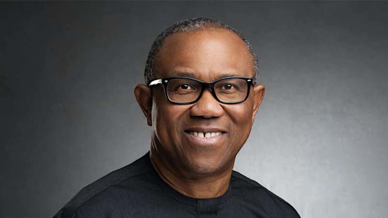 Insecurity, Lack Of Investment In Agriculture Fueling Food Inflation In Nigeria –  Peter Obi