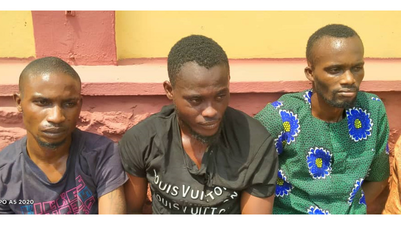 Ogun Police Arrest Killers Of Fatinoye Couple And Their Only Son