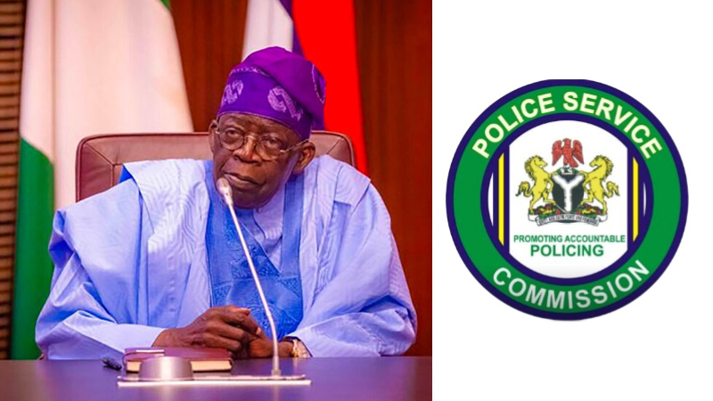 Tinubu Appoints New Chairman For Police Commission, Police Trust Fund